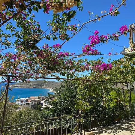 Valentina 住宿加早餐酒店 科帕罗