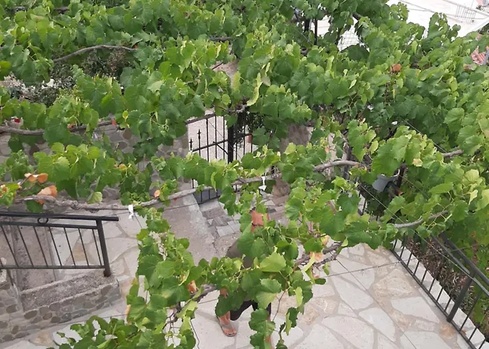 住宿加早餐酒店 Valentina 3*