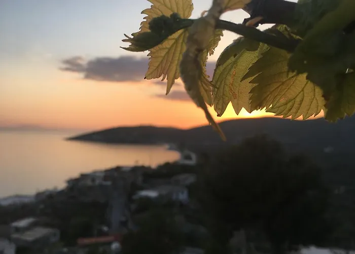 Valentina 3* 科帕罗